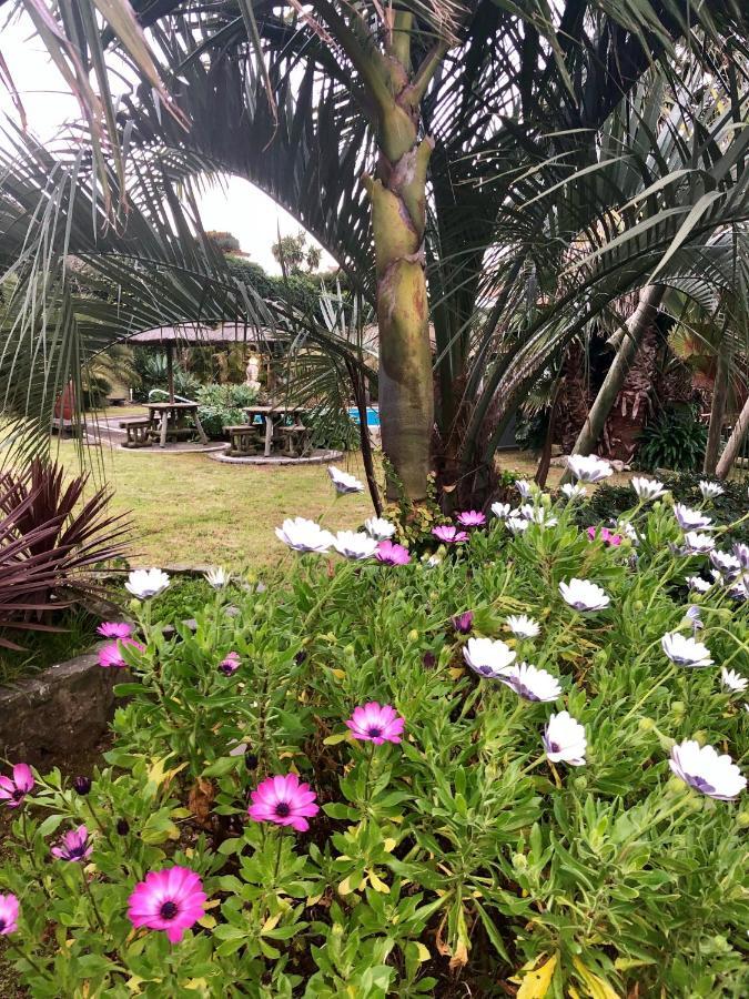 Quinta Da Bela Vista Villa Ponta Delgada Eksteriør billede